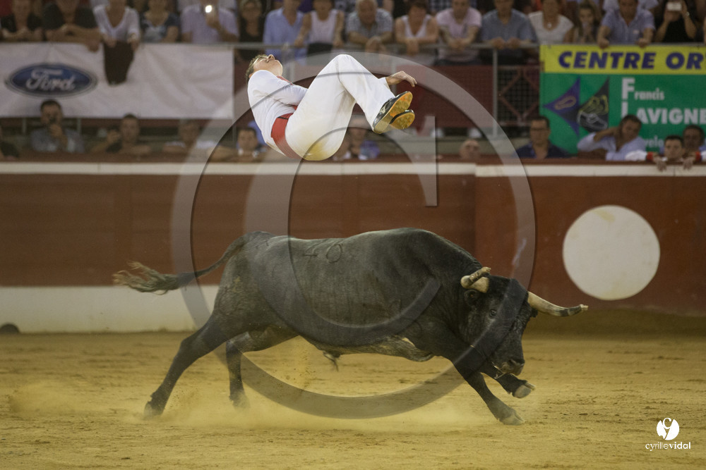 course landaise