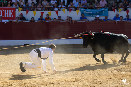 Aire-sur-l'Adour Championnat de France de course landaise 2023