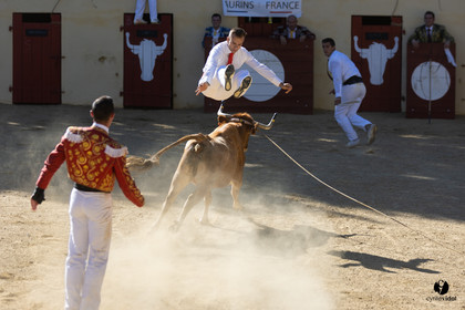 Course landaise