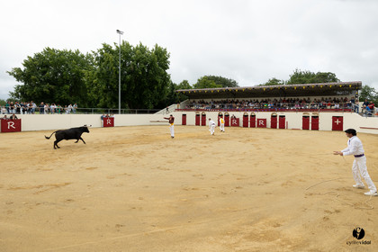 2023-07-02-1606.jpg