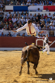 Aire-sur-l'Adour Championnat de France de course landaise 2023