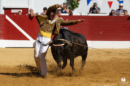 Aire-sur-l'Adour Championnat de France de course landaise 2023