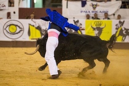 1449.jpg
