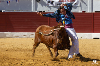 Aire-sur-l'Adour Championnat de France de course landaise 2023