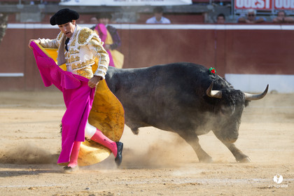 Mont-de-Marsan corrida d'Adolfo Martin