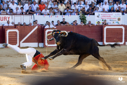 Aire-sur-l'Adour Championnat de France de course landaise 2023