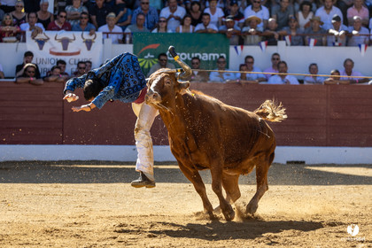Aire-sur-l'Adour Championnat de France de course landaise 2023
