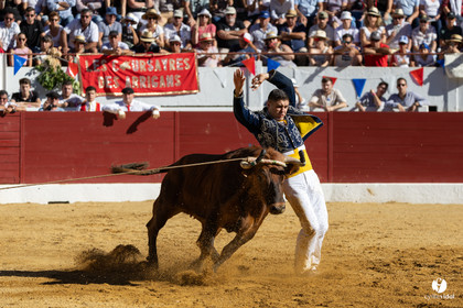 Aire-sur-l'Adour Championnat de France de course landaise 2023