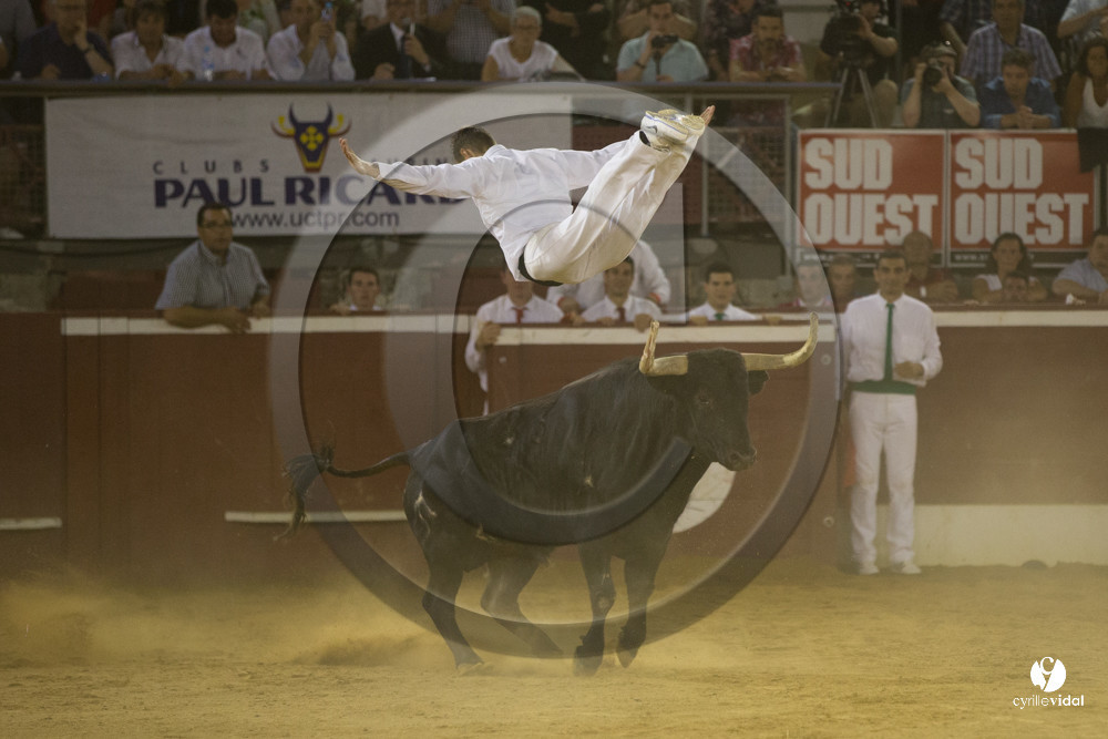 course landaise