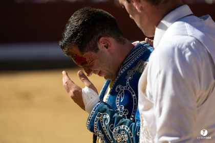 Aire-sur-l'Adour Championnat de France de course landaise 2023