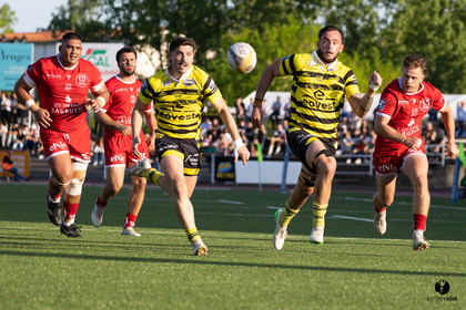 2025-04-25-2261.jpg