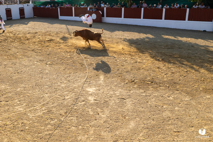 2025-07-05-1859.jpg
