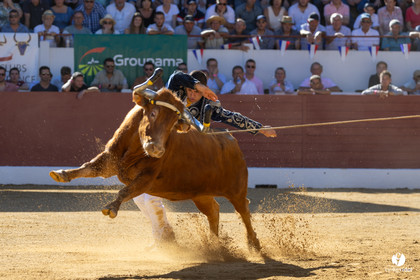Aire-sur-l'Adour Championnat de France de course landaise 2023