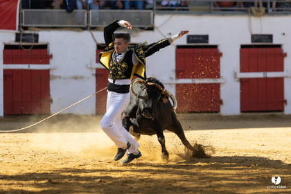 Nogaro Championnat de France de course landaise 2022