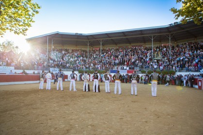 3750.jpg