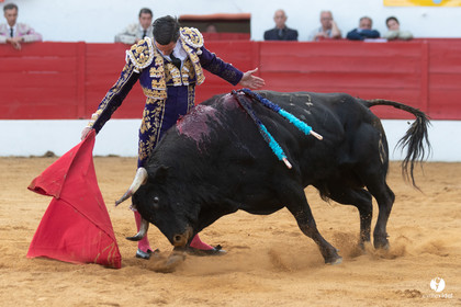 Corrida Aignan
