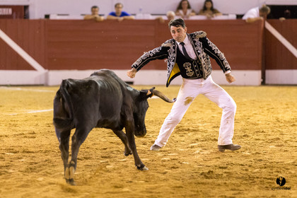 Aire sur l'Adour course landaise génération Aturine