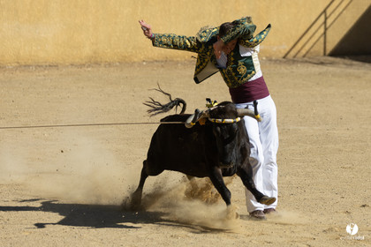 Course landaise