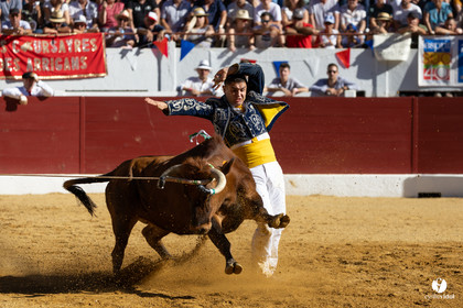 Aire-sur-l'Adour Championnat de France de course landaise 2023