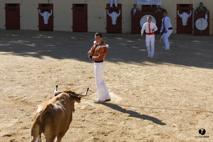 Course landaise