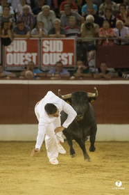 course landaise