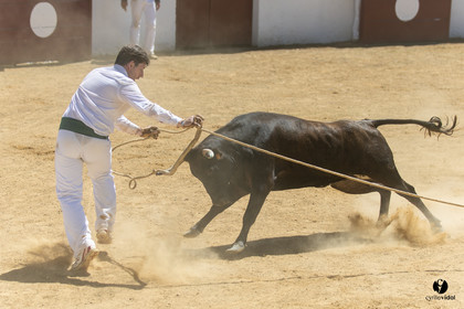 Saint-Cricq Chalosse course landaise de promotion Ganadéria Deyris Cuadrilla Jérémy Lafitte