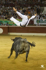 course landaise