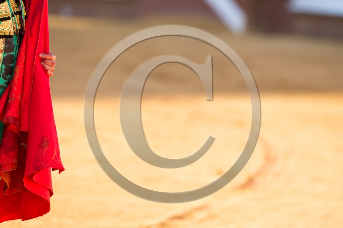 2013-08-18-1269.jpg