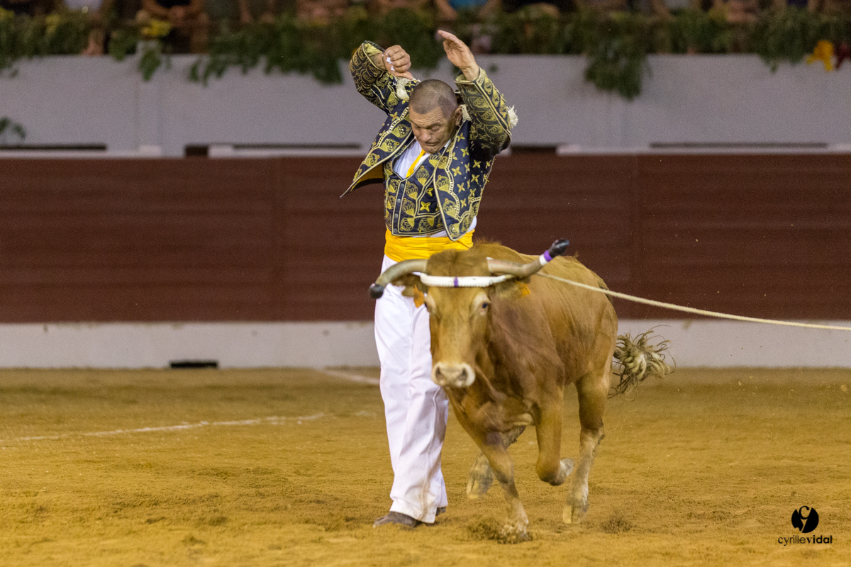 Aire sur l'Adour course landaise génération Aturine
