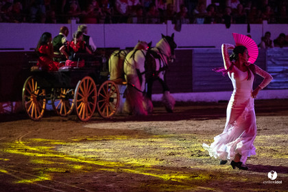 Landes émotions à Aire-sur-l'Adour