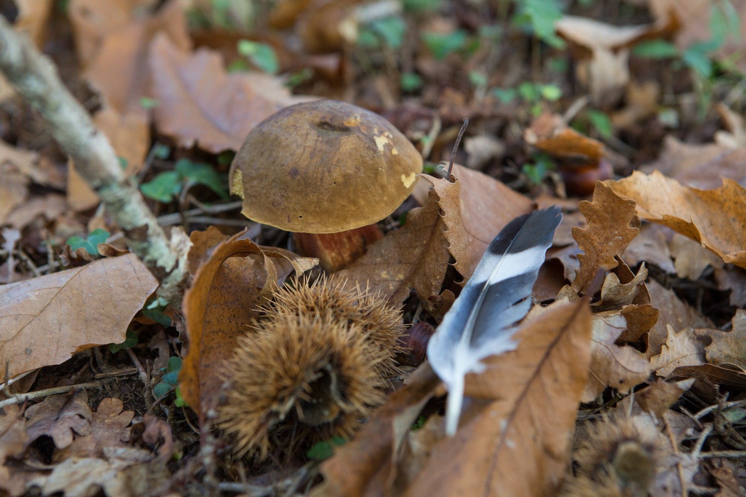 2012-11-16-1230.jpg