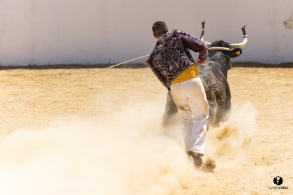 Saint-Cricq Chalosse course landaise de promotion Ganadéria Deyris Cuadrilla Jérémy Lafitte
