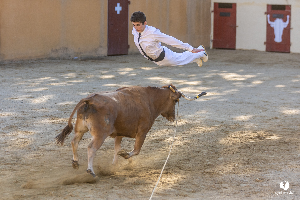 Course landaise