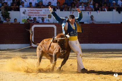 Aire-sur-l'Adour Championnat de France de course landaise 2023