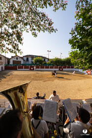 2025-07-05-1711.jpg