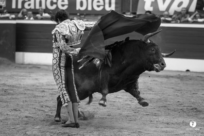 Mont-de-Marsan corrida de Jandilla pour Padilla - Talavante - Roca Rey