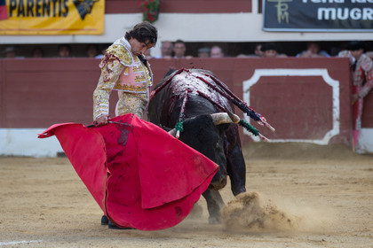 corrida, toro, vic fezensac, alcurrucen, michelito, morenito de aranda