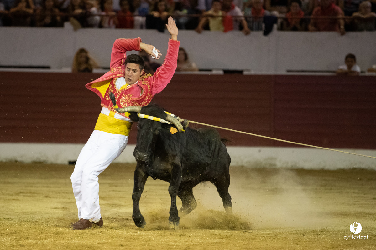 Landes émotions à Aire-sur-l'Adour