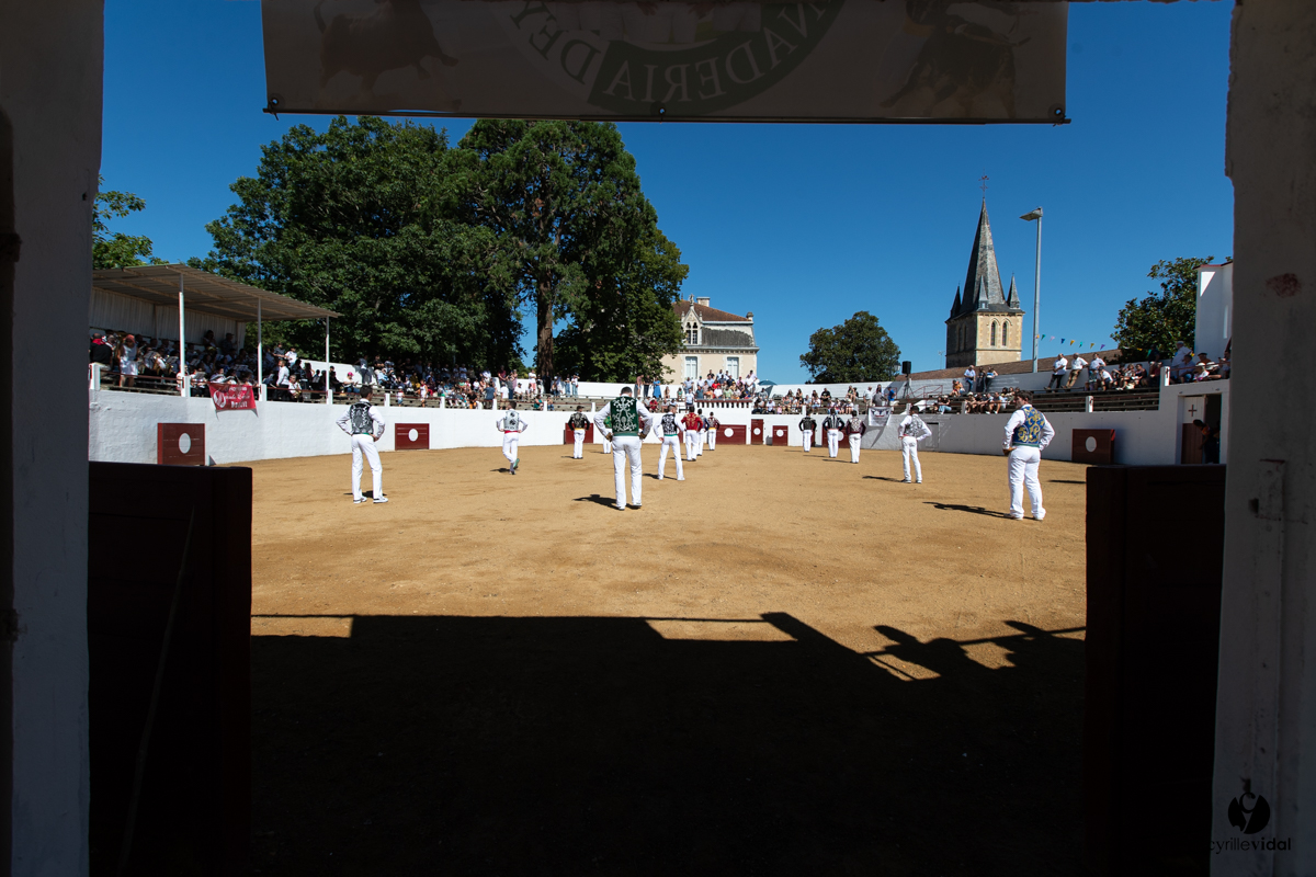 Saint-Cricq Chalosse course landaise de promotion Ganadéria Deyris Cuadrilla Jérémy Lafitte Saint-Cricq Chalosse course landaise de promotion Ganadéria Deyris Cuadrilla Jérémy Lafitte