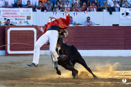 Aire-sur-l'Adour Championnat de France de course landaise 2023