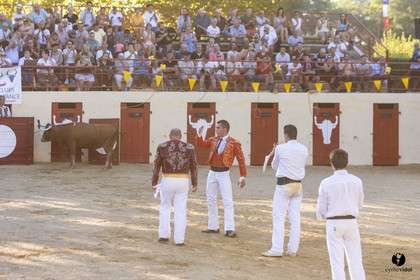 Course landaise