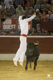 course landaise