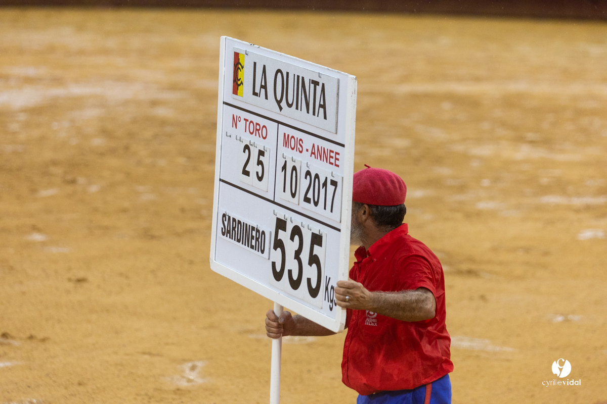 3767.jpg