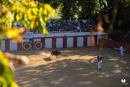 Course landaise à Panjas