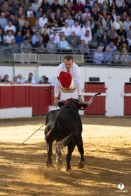 Nogaro Championnat de France de course landaise 2022