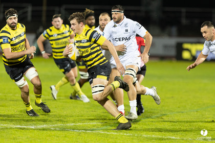 Stade Montois Rugby - Provence