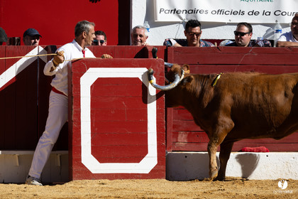 Aire-sur-l'Adour Championnat de France de course landaise 2023
