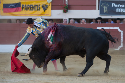 corrida, toro, vic fezensac, alcurrucen, michelito, morenito de aranda