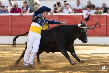 Nogaro Championnat de France de course landaise 2022