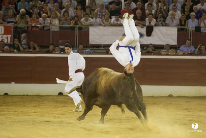 course landaise